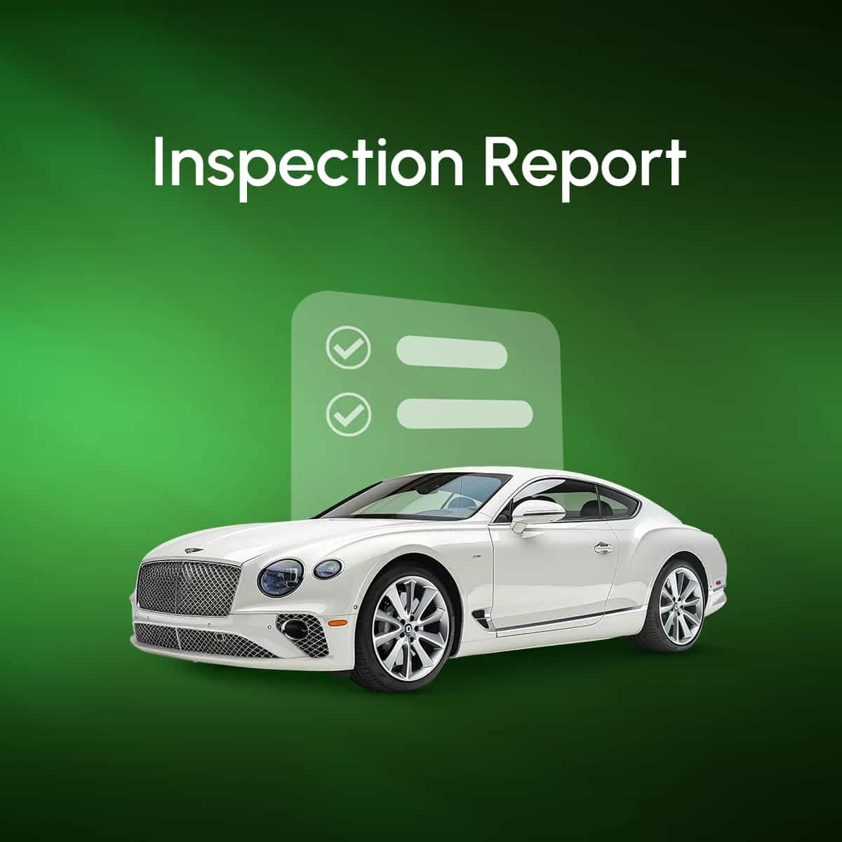 inspection-report-photo